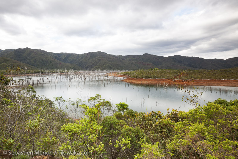 Le Parc de la Rivière Bleue NouvelleCalédonie Kéanou Éditions